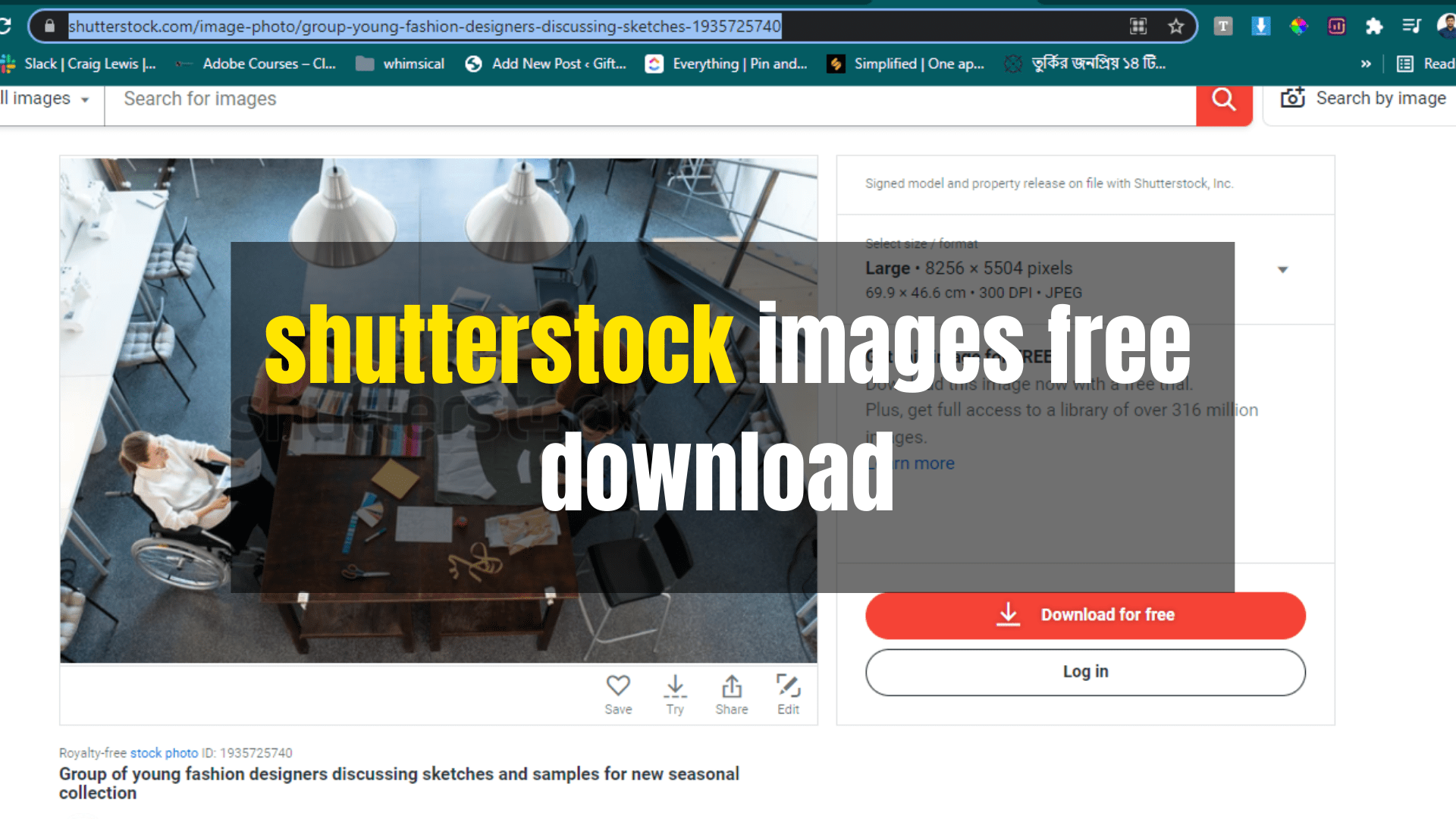shutterstock images free download